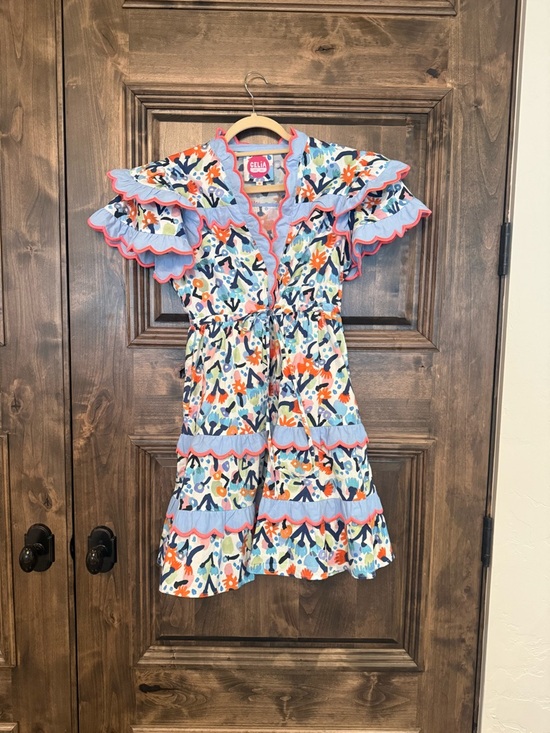 CeliaB Dresses & Skirts - CeliaB Mini Caspio Dress